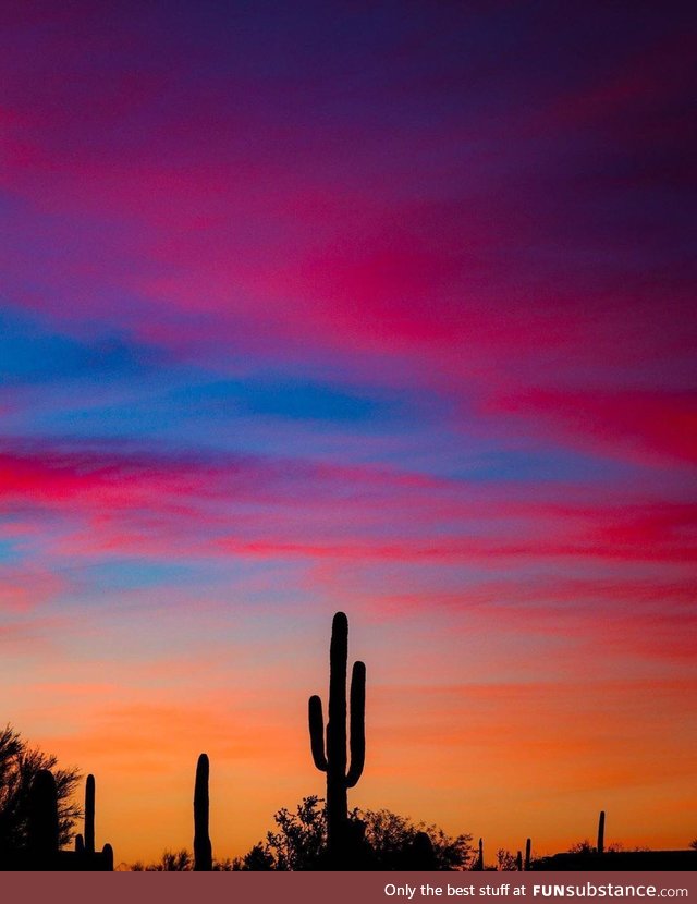 Arizona sunset