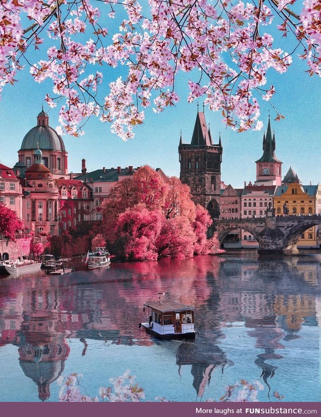 Springtime in Prague(Photo Credit : Florian Olbrechts )