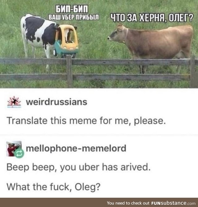 Cow