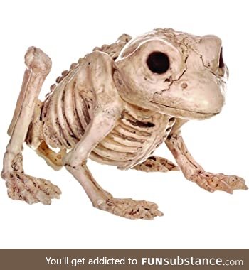 Froggo Fun #298/Spooktober 2020 - This Skelly Is Just Crackin'