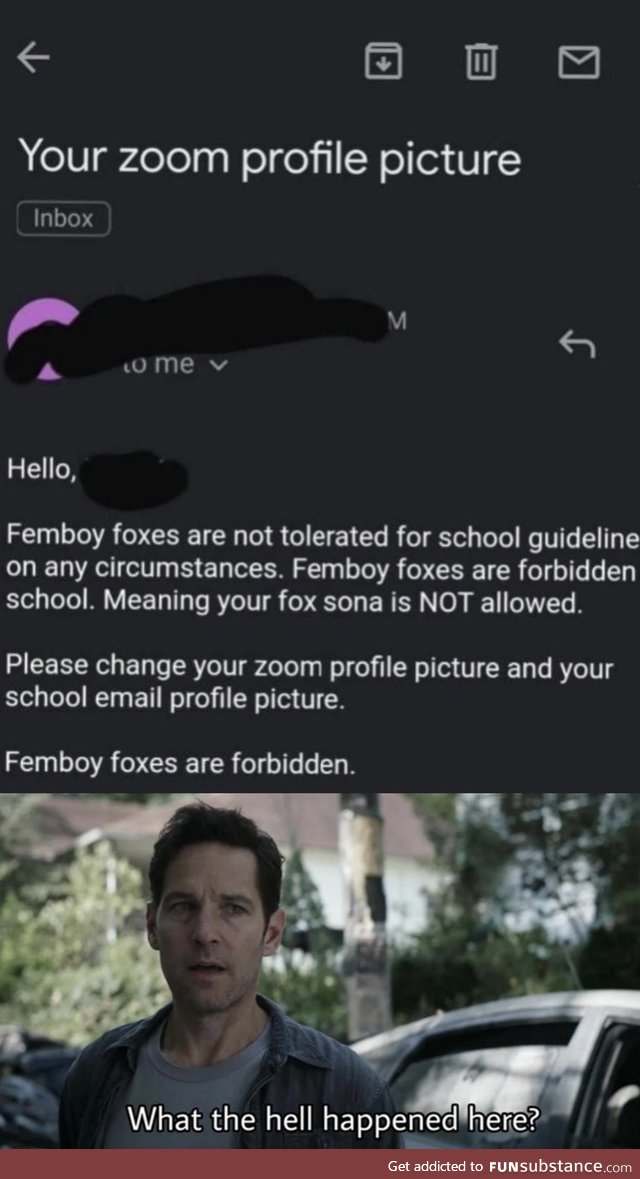 No femboy foxes guys