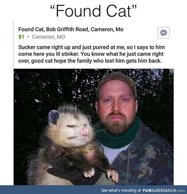 Missing cat has been found