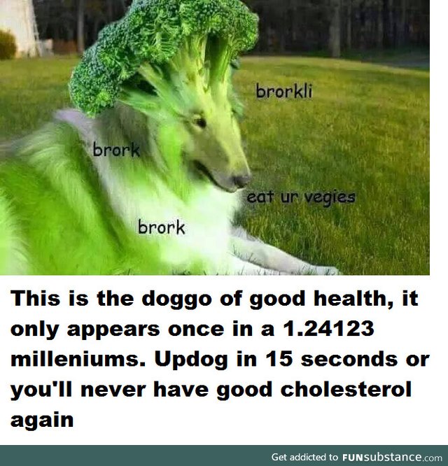 Doggo of good health is back, make sure to exercice