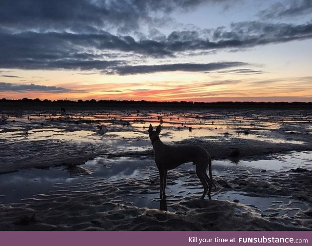 Northern england