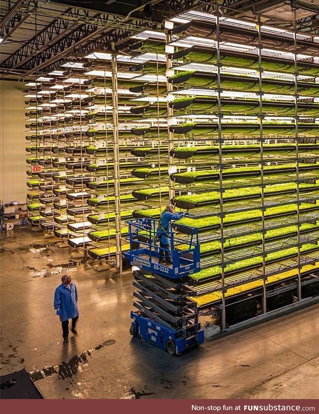 Vertical farming is modelled after The Matrix and will soon be run completely by robots