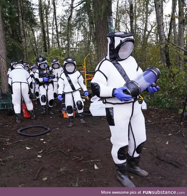 Washington State Murder Hornet eradication team 2020