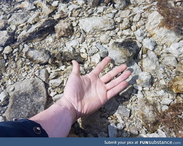 This is how clear Swedish spring water is