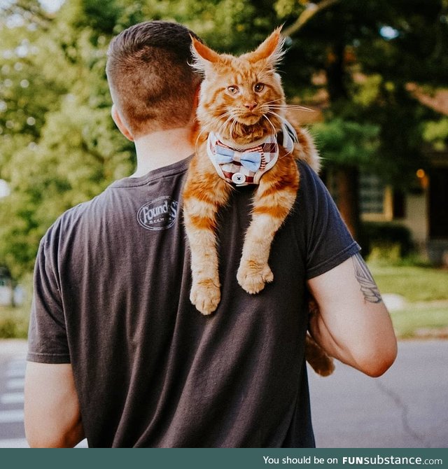 Dad carrying me home after a mean old beetle pinched my nose at the park