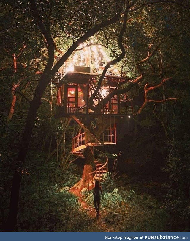 Treehouse love