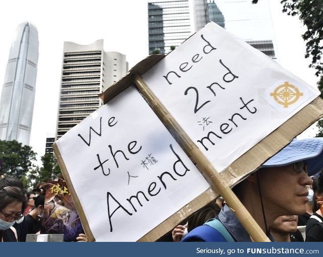 Patriotic Hong Kong protestor