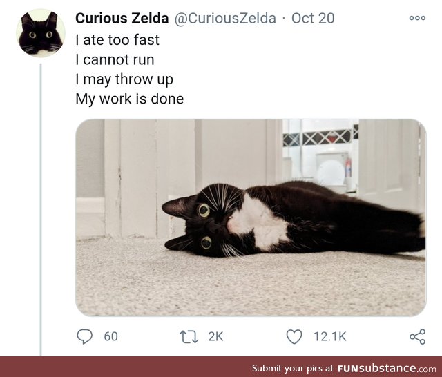 My Work Is Done [CuriousZelda]