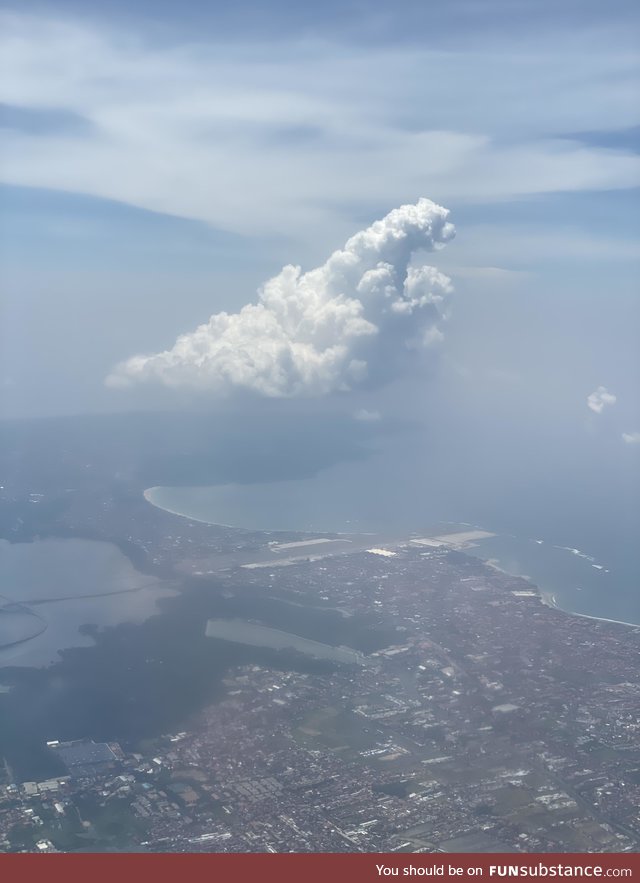 Godzilla spotted in Bali