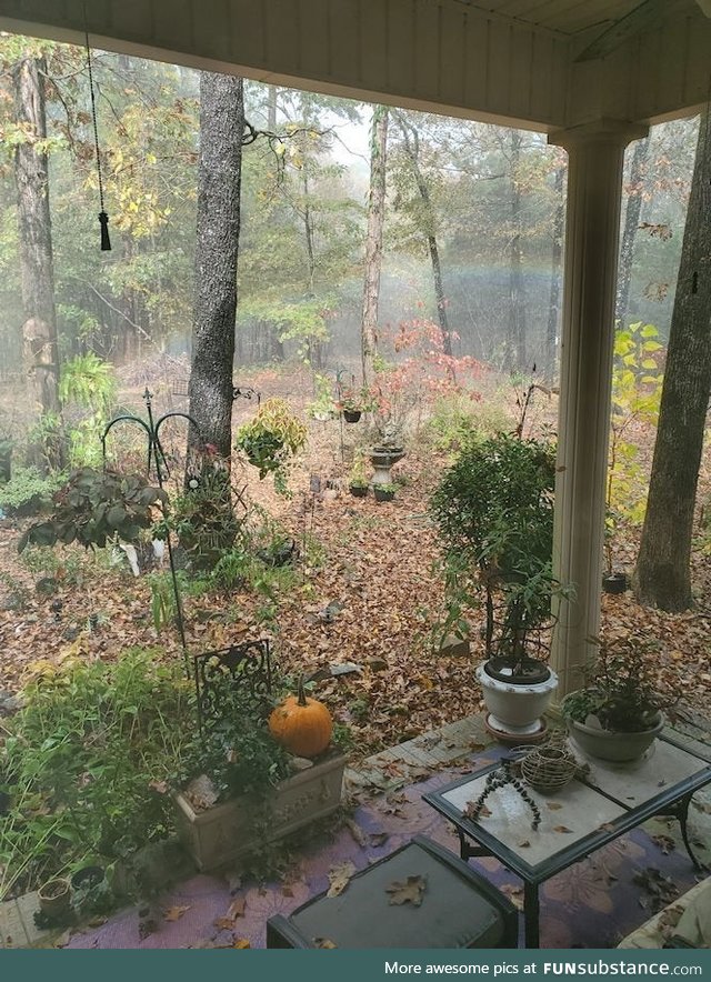 Small Rainbow in the front yard