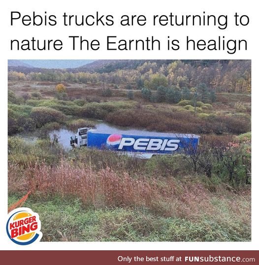 Bepis