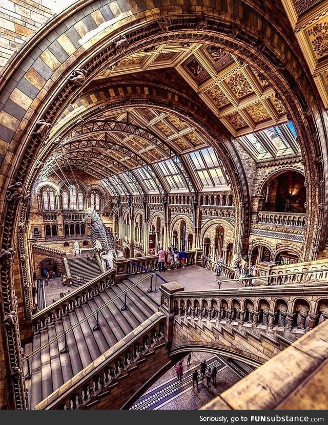 Natural history museum, london