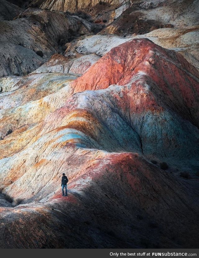 Colours of Mongolia, Jord Hammond