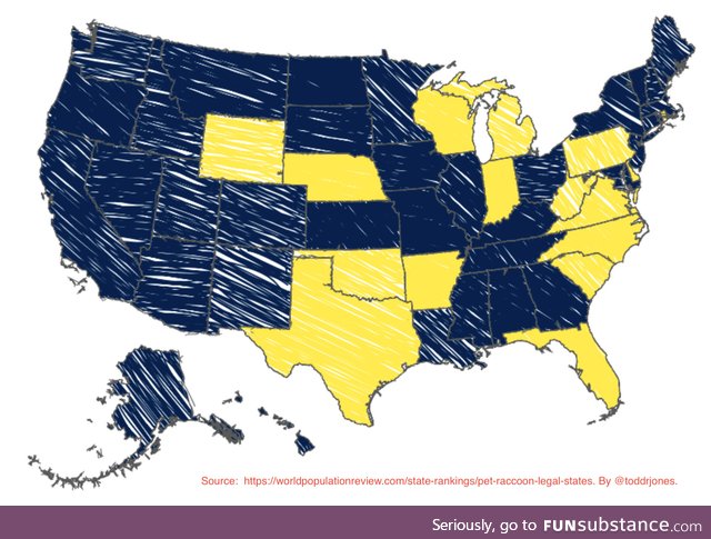 In the yellow states it is legal to own a RACCOON. Thought you oughta know