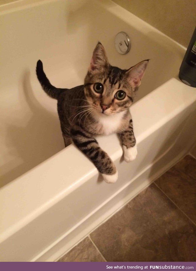 He always jumps into the tub after a shower. , meet Lou