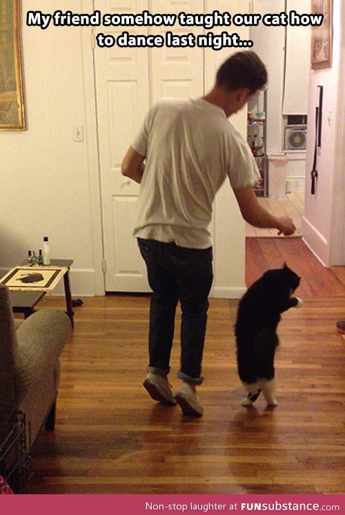 Dancing with the cat