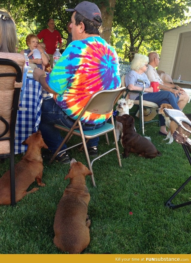 How you can tell who has been feeding the dogs under the table