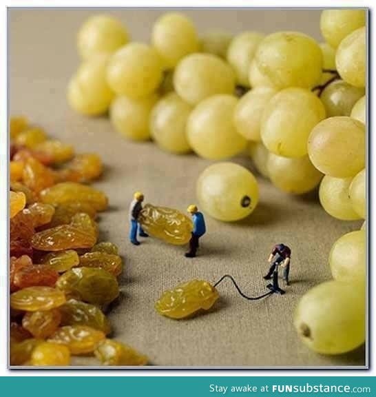 How grapes are made