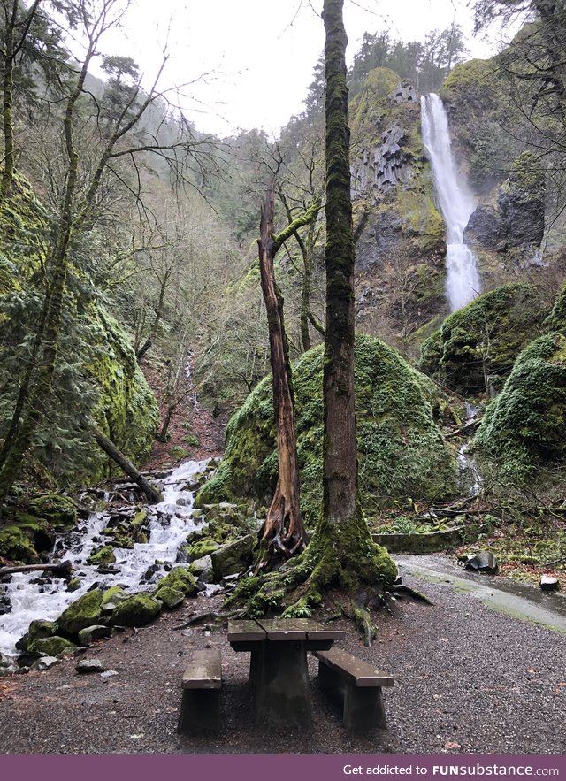 Starvation creek falls, oregon