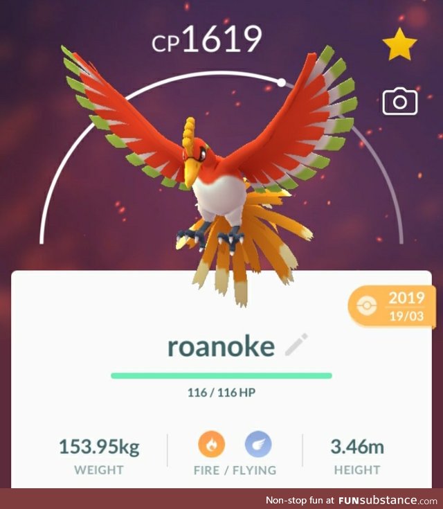 PoGo Project #81 - Gobble Gobble!