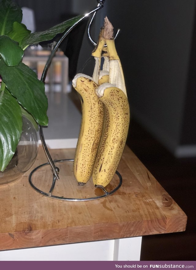 Our bananas committed suicide overnight