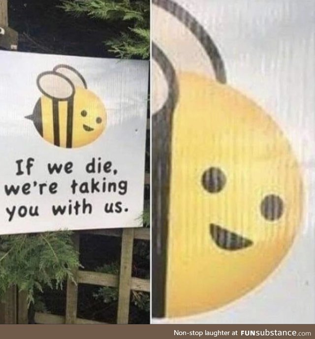 Bee aware