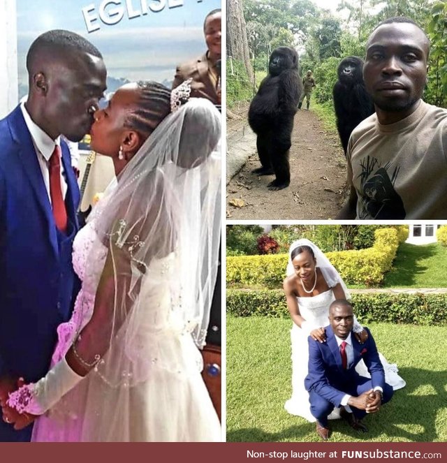 The man whose picture went viral for posing with 2 standing gorillas just got married!