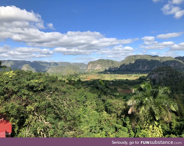 A beautiful Cuban jungle