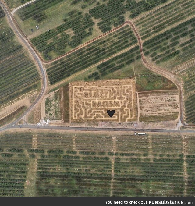 What this corn maze said ????