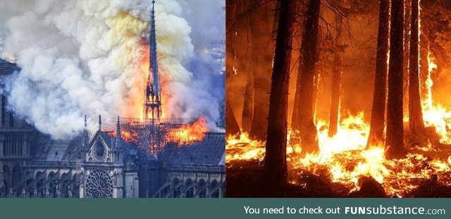 Notre Dame Cathedral received billions in donations after it went ablaze in April. The