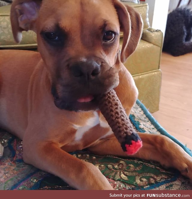 My mom crocheted my dog a cigar