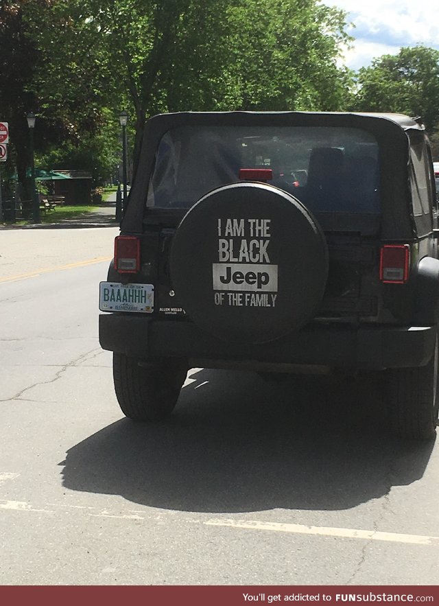 That license plate is dedication (found in VT)