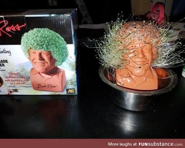 This epic Bob Ross chia pet