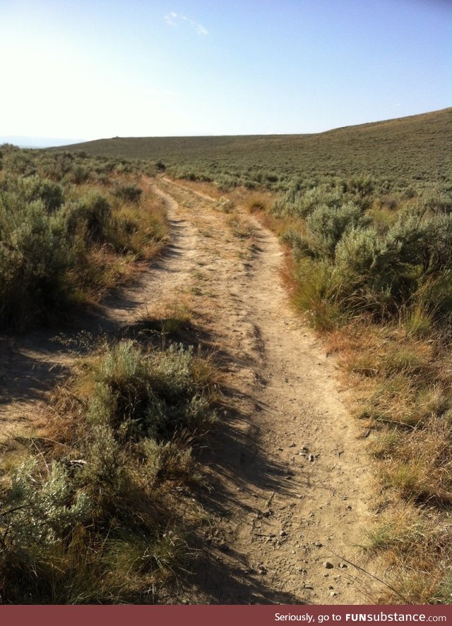 Wagon ruts from The Oregon Trail, circish Baker City, Oregon