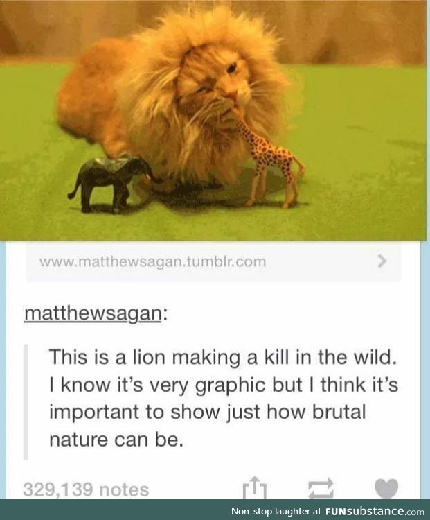 Nature can be brutal