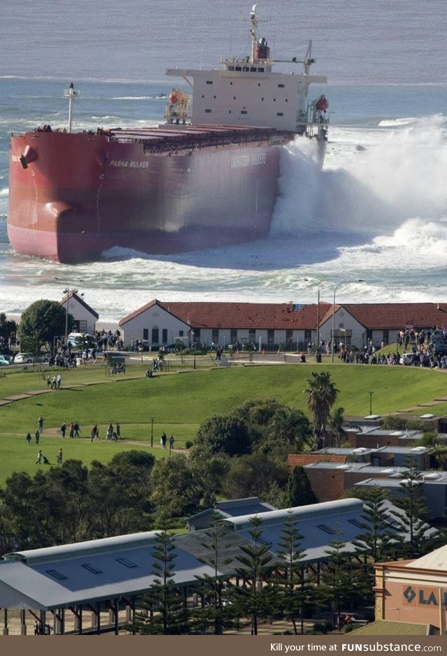 Pasha Bulka washes ashore in Newcastle Australia