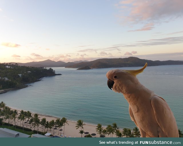 This guy came to visit us on our holiday