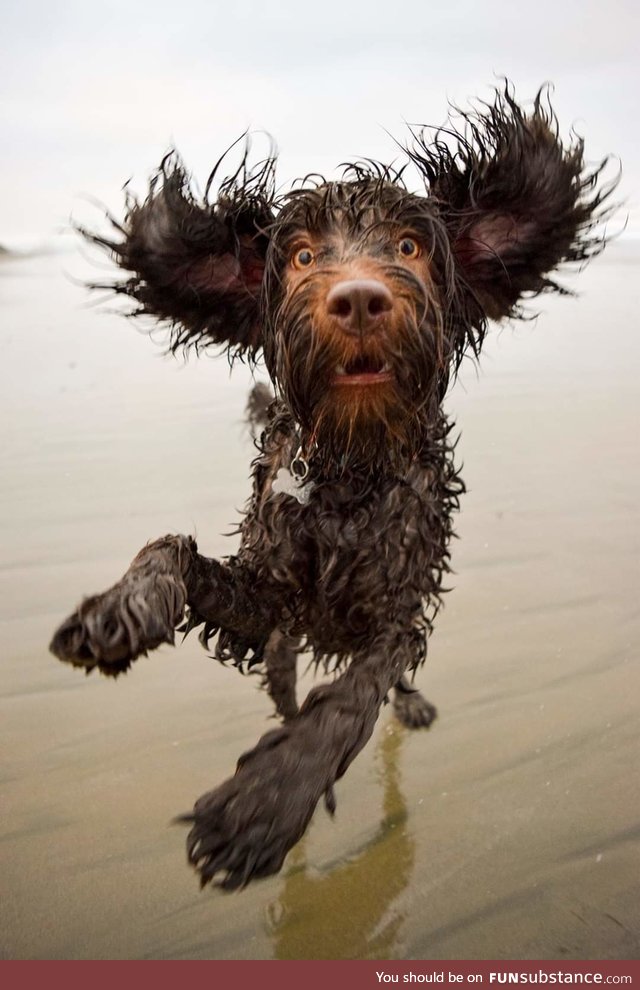 Morning beach run!