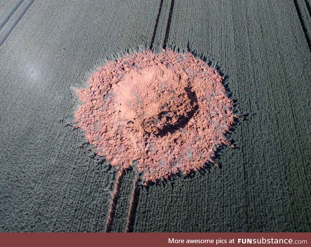 A buried WW2 bomb exploded in a German barley field this week