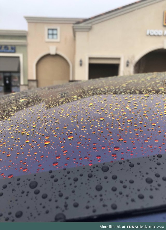 The way these raindrops look on the car