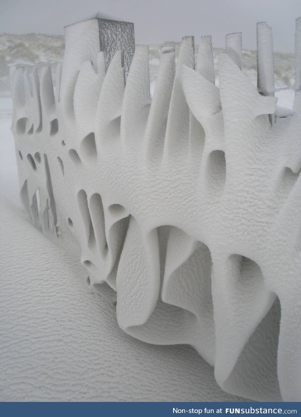 The snow on this fence