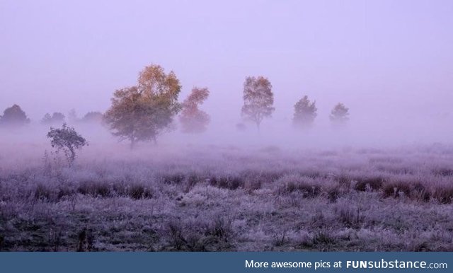 Hupsel, the Netherlands