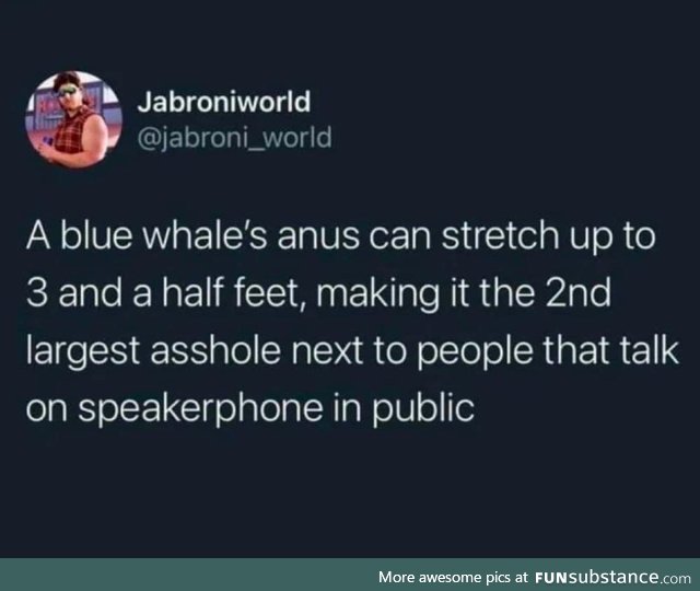 Just blue whale facts