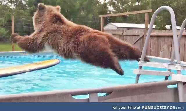 A beary scary belly flop