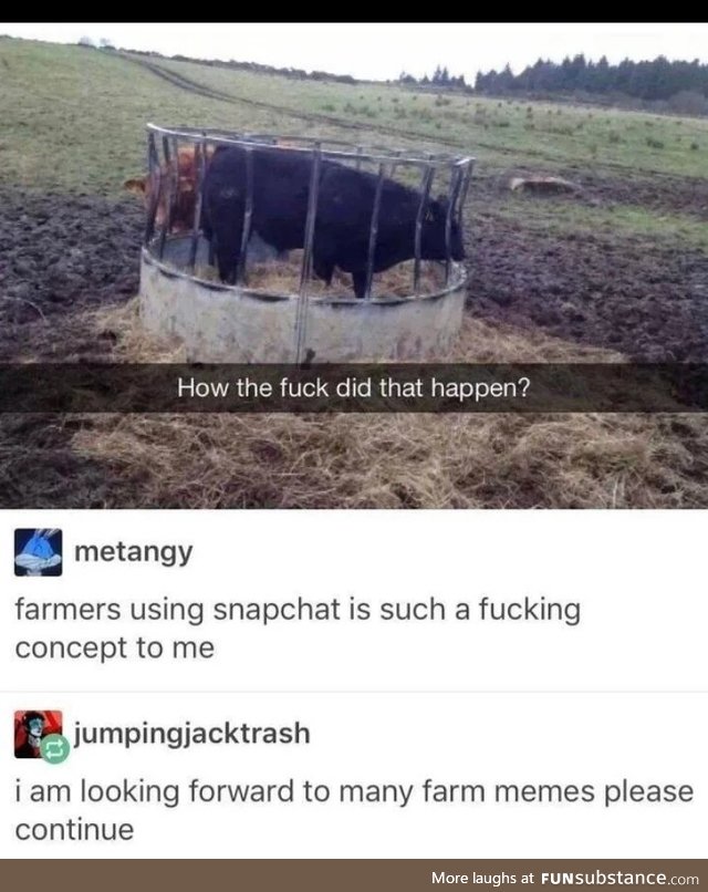 Farm boid