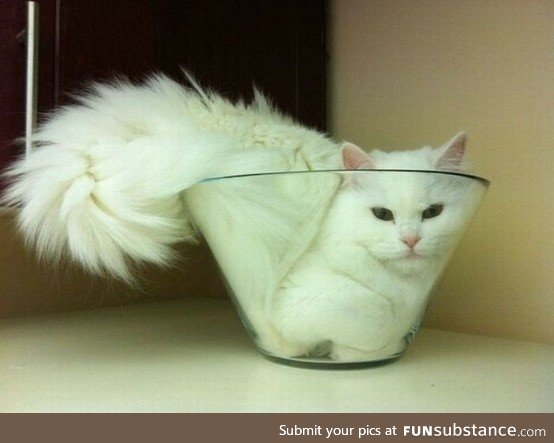 If I fits I ists