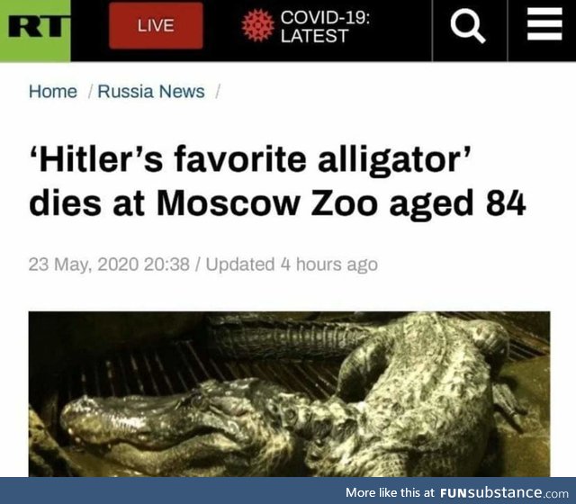 Press F for the alligator